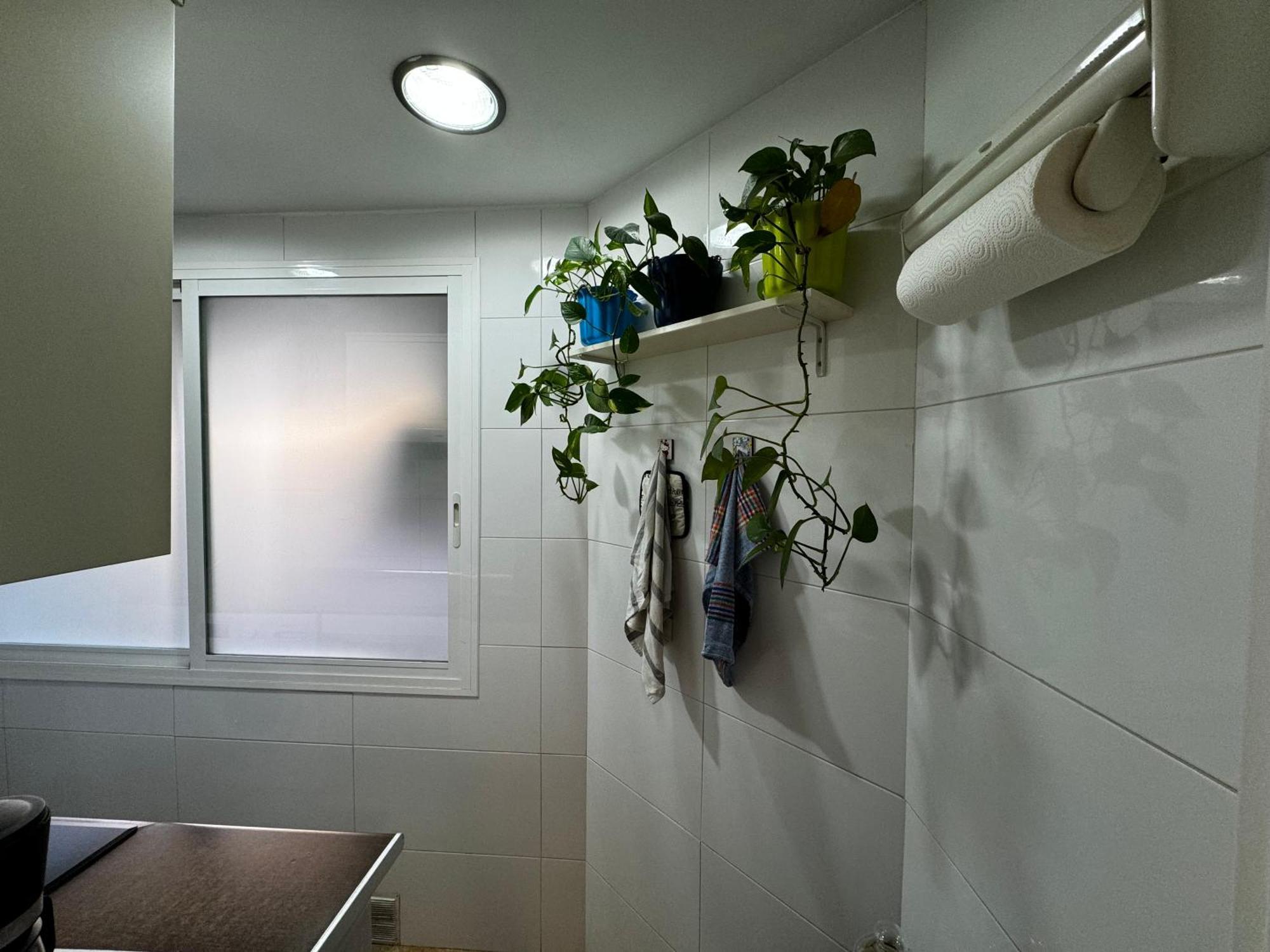 Russafa Codrut Apartment Valencia Exterior photo